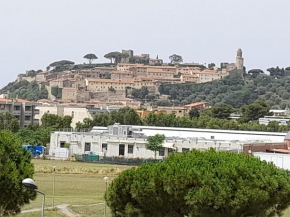 8380 Brunello